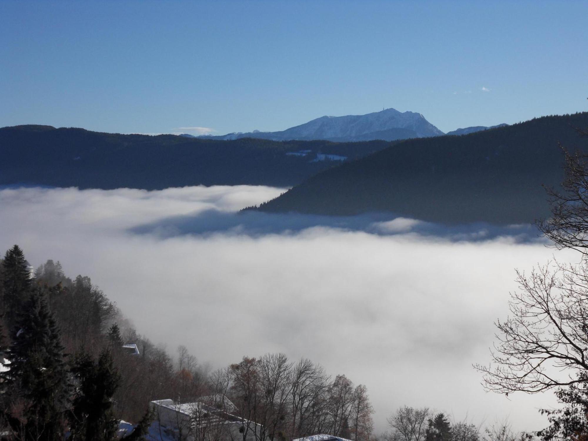 Fewo In Der Weinleiten มิลชตัทท์ ภายนอก รูปภาพ